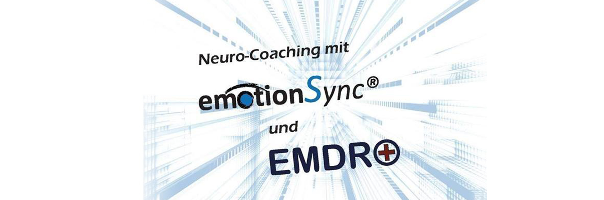 emotion-sync-emdr-maik-laerz-akademie